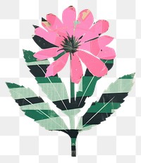 PNG Botanical flower pattern petal plant. AI generated Image by rawpixel.