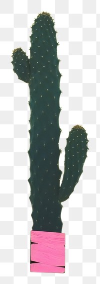 PNG Cactus plant dynamite weaponry. AI generated Image by rawpixel.