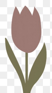 PNG Tulip flower nature petal. AI generated Image by rawpixel.