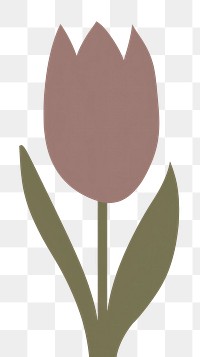 PNG Tulip flower nature petal. 