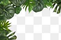 PNG Monstera leaves backgrounds nature plant. AI generated Image by rawpixel.