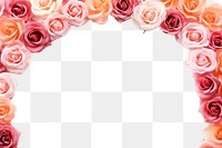 PNG Roses backgrounds flower petal. AI generated Image by rawpixel.