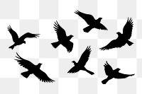 PNG  Flock of bird silhouette animal flying