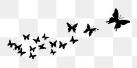 PNG  Butterflies flying silhouette animal bird