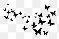 PNG  Butterflies flying silhouette wildlife animal.