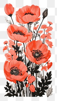 PNG Aesthetic flowers drawing nature poppy. 