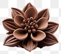 PNG Flower chocolate dessert plant. AI generated Image by rawpixel.