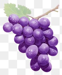 PNG Bunch of grapes fruit plant food. AI generated Image by rawpixel.