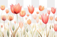 PNG Tulip backgrounds flower petal. AI generated Image by rawpixel.