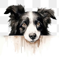 PNG Collie mammal animal dog. AI generated Image by rawpixel.