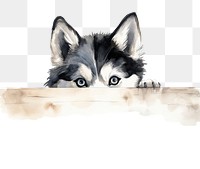 PNG Siberian Husky drawing peeking mammal. AI generated Image by rawpixel.