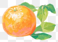 PNG Orange fruit grapefruit painting. AI generated Image by rawpixel.