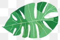 PNG Philodendron leaf plant art pattern. AI generated Image by rawpixel.