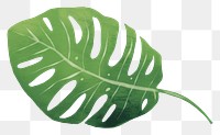 PNG Philodendron leaf plant pattern drawing. AI generated Image by rawpixel.