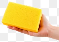 PNG Cleaning sponge holding hand hygiene. AI generated Image by rawpixel.