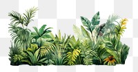 PNG Jungle backgrounds vegetation outdoors