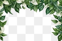 PNG Border of leaves backgrounds pattern plant. AI generated Image by rawpixel.