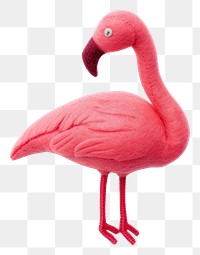 PNG  Flamingo flamingo animal bird. AI generated Image by rawpixel.