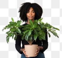 PNG  A black woman holding houseplant adult leaf white background. AI generated Image by rawpixel.