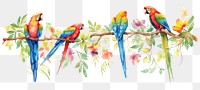 PNG Parrots animal bird creativity. AI generated Image by rawpixel.
