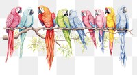 PNG Parrots animal bird creativity. AI generated Image by rawpixel.