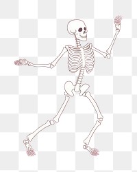 PNG Skeleton dancing flower plant art. AI generated Image by rawpixel.