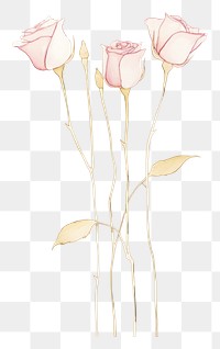 PNG Pink rose bouquet drawing flower sketch. AI generated Image by rawpixel.