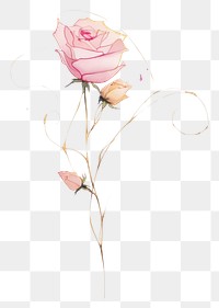 PNG Pink rose bouquet pattern drawing flower. AI generated Image by rawpixel.