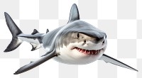 PNG  A baby shark animal fish white background underwater. AI generated Image by rawpixel.