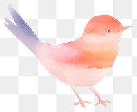 PNG Bird animal white background creativity. AI generated Image by rawpixel.