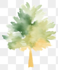 PNG Tree plant leaf white background. AI generated Image by rawpixel.