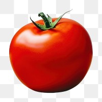 PNG  A red tomato sitting on the table vegetable plant food. AI generated Image by rawpixel.