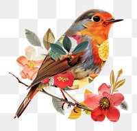 PNG Flower Collage Robin Bird pattern robin bird.