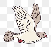 PNG Dove flying partridge animal pigeon.
