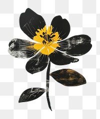 PNG Flower photo art asteraceae daffodil.