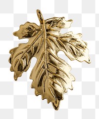 Gold maple leaf png sticker, transparent background