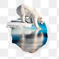 Polar bear png sticker, animal in torn paper badge, transparent background