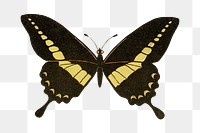 Vintage butterfly png sticker, aesthetic decoration, transparent background