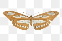 Vintage butterfly png sticker, aesthetic decoration, transparent background