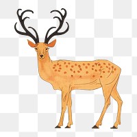 Stag png sticker, vintage animal, transparent background