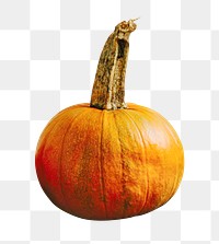 Pumpkin png sticker, autumn, transparent background