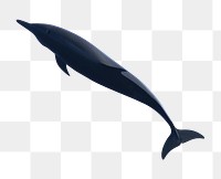 Dolphin png sticker, sea animal, transparent background
