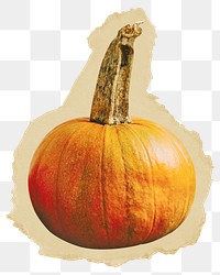 Pumpkin png sticker, ripped paper, transparent background