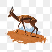 PNG desert deer, collage element, transparent background