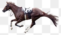 Race horse png sticker, animal image, transparent background