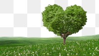 Green heart tree png border, transparent background