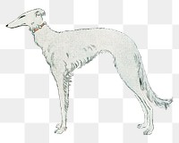 Greyhound dog png sticker, George Barbier-inspired vintage artwork, transparent background, remixed by rawpixel