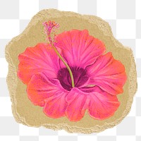 Pink flower png sticker, ripped paper, transparent background