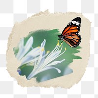 Monarch butterfly png sticker, ripped paper, transparent background