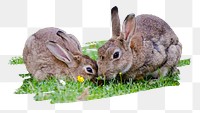 PNG Rabbit in a garden, collage element, transparent background